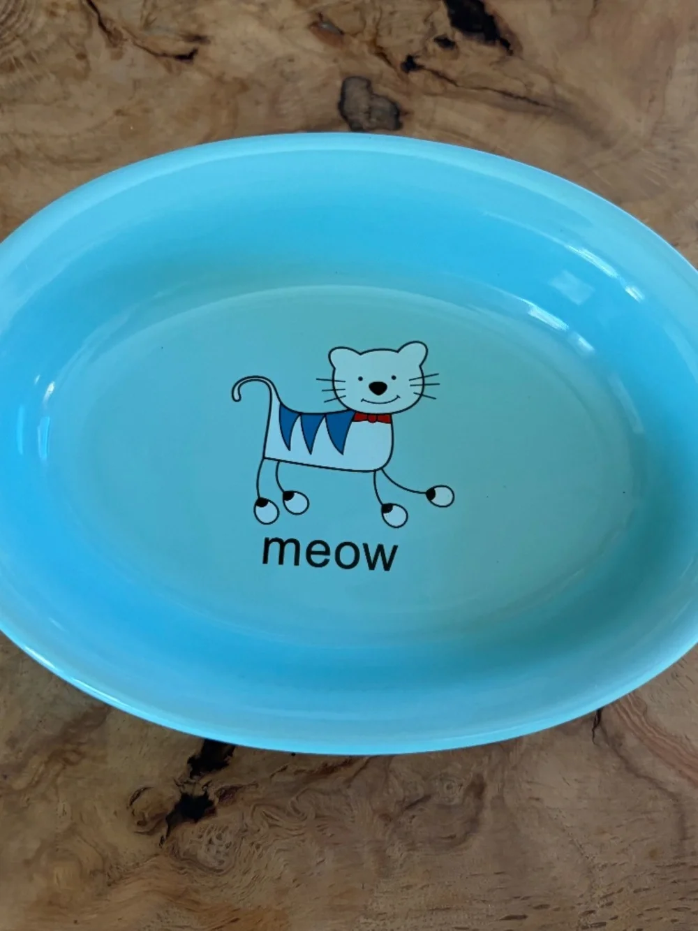 🐱 Whisker City “Meow” Cat Dish Bowl | Aqua Blue Ceramic Pet Bowl 🩵💚